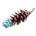Sscraps_ILW_pinecone
