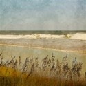 DS_BeachArt_Paper1A