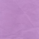 u Purple_dd Solid