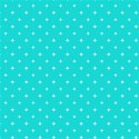 afondo116
