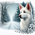 white Shepherds white Shepherds