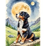 Bernese Mountain Dogs Bernese Mountain Dogs