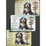 Bearded Collie-02 Bearded Collie-02