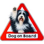 Bearded Collie-03 Bearded Collie-03